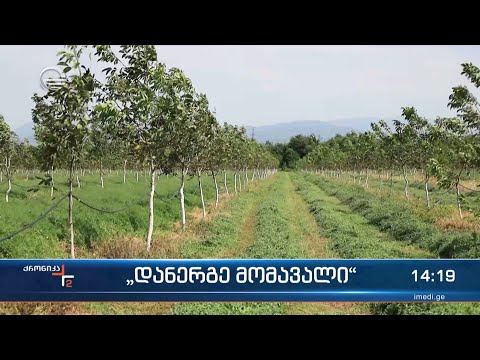 „დანერგე მომავალი“